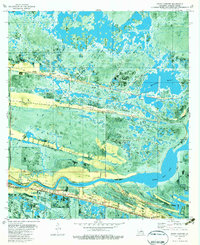 preview thumbnail of historical topo map of Cameron County, LA in 1980