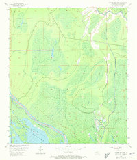 Download a high-resolution, GPS-compatible USGS topo map for Grosse Tete SW, LA (1973 edition)