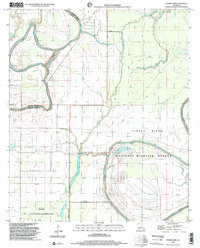 preview thumbnail of historical topo map of Madison County, LA in 1998