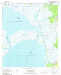 Download a high-resolution, GPS-compatible USGS topo map for Lake Cataouatche East, LA (1980 edition)