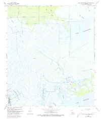Download a high-resolution, GPS-compatible USGS topo map for Lake Cataouatche West, LA (1973 edition)