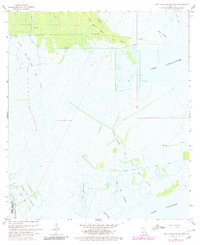 Download a high-resolution, GPS-compatible USGS topo map for Lake Cataouatche West, LA (1980 edition)