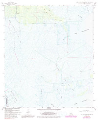 Download a high-resolution, GPS-compatible USGS topo map for Lake Cataouatche West, LA (1991 edition)