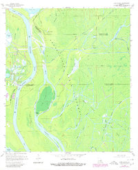 preview thumbnail of historical topo map of Iberia County, LA in 1970