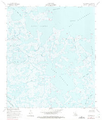 Download a high-resolution, GPS-compatible USGS topo map for Lake Eugenie, LA (1975 edition)
