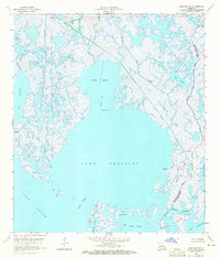 Download a high-resolution, GPS-compatible USGS topo map for Lake Felicity, LA (1965 edition)