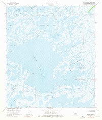 Download a high-resolution, GPS-compatible USGS topo map for Lake Mechant, LA (1976 edition)