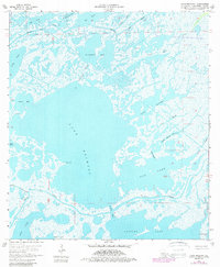 Download a high-resolution, GPS-compatible USGS topo map for Lake Mechant, LA (1989 edition)