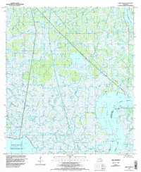 Download a high-resolution, GPS-compatible USGS topo map for Lake Salve, LA (1998 edition)