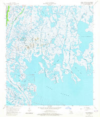 Download a high-resolution, GPS-compatible USGS topo map for Lake Tambour, LA (1965 edition)