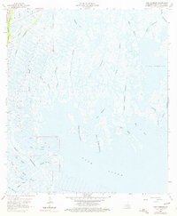Download a high-resolution, GPS-compatible USGS topo map for Lake Tambour, LA (1976 edition)