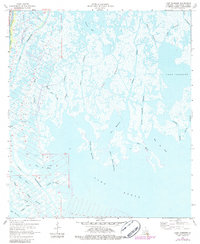 Download a high-resolution, GPS-compatible USGS topo map for Lake Tambour, LA (1984 edition)