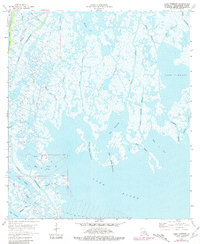 Download a high-resolution, GPS-compatible USGS topo map for Lake Tambour, LA (1981 edition)