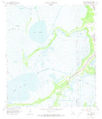 Download a high-resolution, GPS-compatible USGS topo map for Lake Theriot, LA (1973 edition)