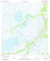 Download a high-resolution, GPS-compatible USGS topo map for Lake Theriot, LA (1981 edition)