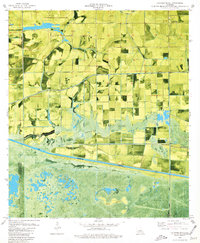 Download a high-resolution, GPS-compatible USGS topo map for Latanier Bayou, LA (1980 edition)