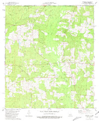 preview thumbnail of historical topo map of St. Helena County, LA in 1981