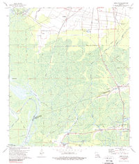 preview thumbnail of historical topo map of Iberville County, LA in 1974
