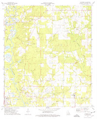 preview thumbnail of historical topo map of Tangipahoa County, LA in 1974
