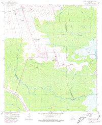 Download a high-resolution, GPS-compatible USGS topo map for Lower Vacherie, LA (1981 edition)