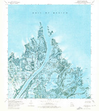 preview thumbnail of historical topo map of Plaquemines County, LA in 1971
