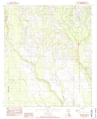 preview thumbnail of historical topo map of St. Tammany County, LA in 1983