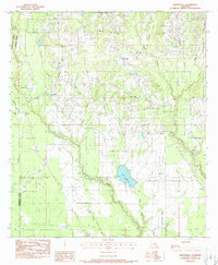 Download a high-resolution, GPS-compatible USGS topo map for Martinville, LA (1988 edition)