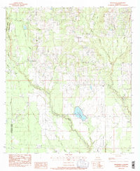 preview thumbnail of historical topo map of St. Tammany County, LA in 1983