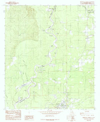 preview thumbnail of historical topo map of Beauregard County, LA in 1984