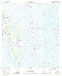 Download a high-resolution, GPS-compatible USGS topo map for Mink Bayou, LA (1980 edition)