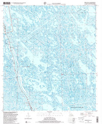 Download a high-resolution, GPS-compatible USGS topo map for Mink Bayou, LA (2001 edition)