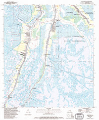 Download a high-resolution, GPS-compatible USGS topo map for Montegut, LA (1994 edition)