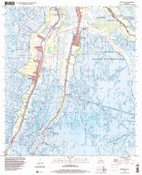 Download a high-resolution, GPS-compatible USGS topo map for Montegut, LA (2000 edition)