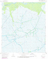 Download a high-resolution, GPS-compatible USGS topo map for Morgan City SE, LA (1984 edition)