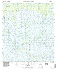 Download a high-resolution, GPS-compatible USGS topo map for Morgan City SE, LA (1998 edition)
