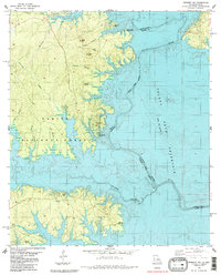 Download a high-resolution, GPS-compatible USGS topo map for Negreet SW, LA (1985 edition)