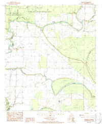 preview thumbnail of historical topo map of Tensas County, LA in 1987