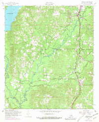 Download a high-resolution, GPS-compatible USGS topo map for Newllano, LA (1981 edition)