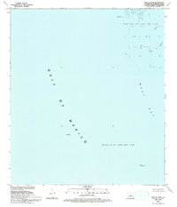 preview thumbnail of historical topo map of Plaquemines County, LA in 1993