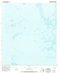 Download a high-resolution, GPS-compatible USGS topo map for Pelican Pass, LA (1994 edition)