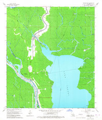 Download a high-resolution, GPS-compatible USGS topo map for Pierre Part, LA (1967 edition)