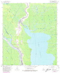 Download a high-resolution, GPS-compatible USGS topo map for Pierre Part, LA (1980 edition)