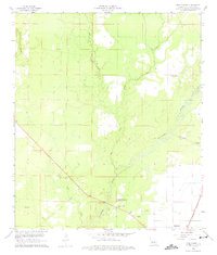 Download a high-resolution, GPS-compatible USGS topo map for Pine Chapel, LA (1975 edition)