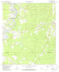 preview thumbnail of historical topo map of St. Helena County, LA in 1980