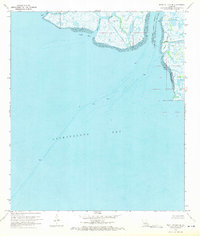 Download a high-resolution, GPS-compatible USGS topo map for Point Au Fer NE, LA (1971 edition)