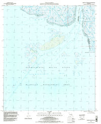 Download a high-resolution, GPS-compatible USGS topo map for Point Au Fer NE, LA (1998 edition)