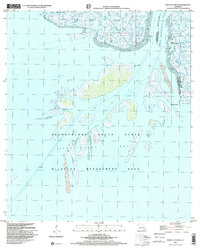 Download a high-resolution, GPS-compatible USGS topo map for Point Au Fer NE, LA (2001 edition)