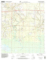preview thumbnail of historical topo map of Tangipahoa County, LA in 1998