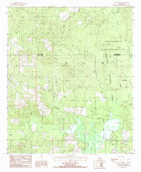 Download a high-resolution, GPS-compatible USGS topo map for Savage Creek, LA (1985 edition)