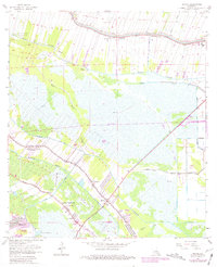 Download a high-resolution, GPS-compatible USGS topo map for Savoie, LA (1981 edition)